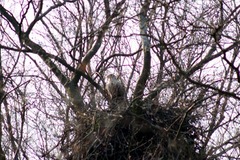 Killikus&reg; Fotographie